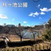 杁ヶ池公園 杁ヶ池公園