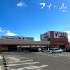 フィール AELU フィール AELU