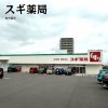 スギ薬局 加木屋店 スギ薬局 加木屋店
