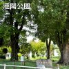 港陽公園(港区) 港陽公園(港区)