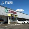 スギ薬局 藤岡店